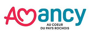 conseil-municipal-du-23-novembre-2015