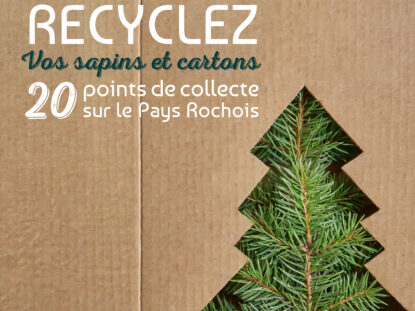 Recyclage sapins de Noël et cartons